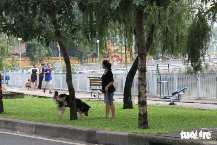 Chó không rọ mõm chạy dọc kênh Nhiêu Lộc - Thị Nghè: 'Dẫn cháu đi dạo sợ chó lao tới cắn' - Ảnh 6.