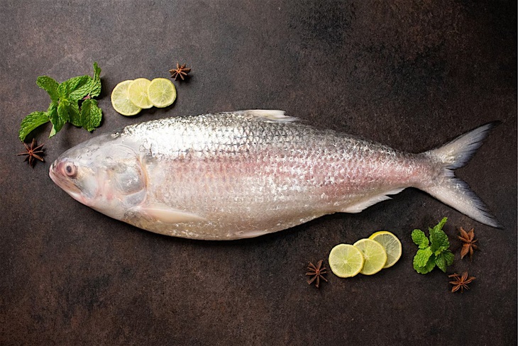 cá hilsa - Ảnh 2.