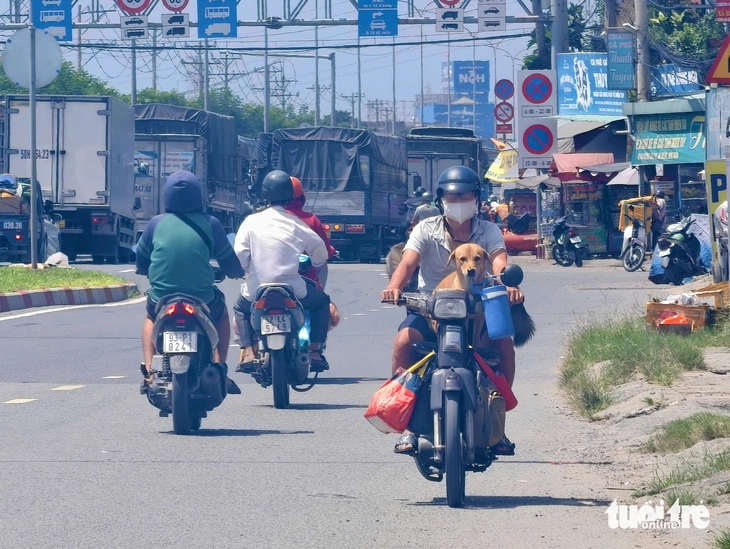Xe máy vô tư chạy ngược chiều, phớt lờ mức phạt đến 6 triệu đồng - Ảnh 6.