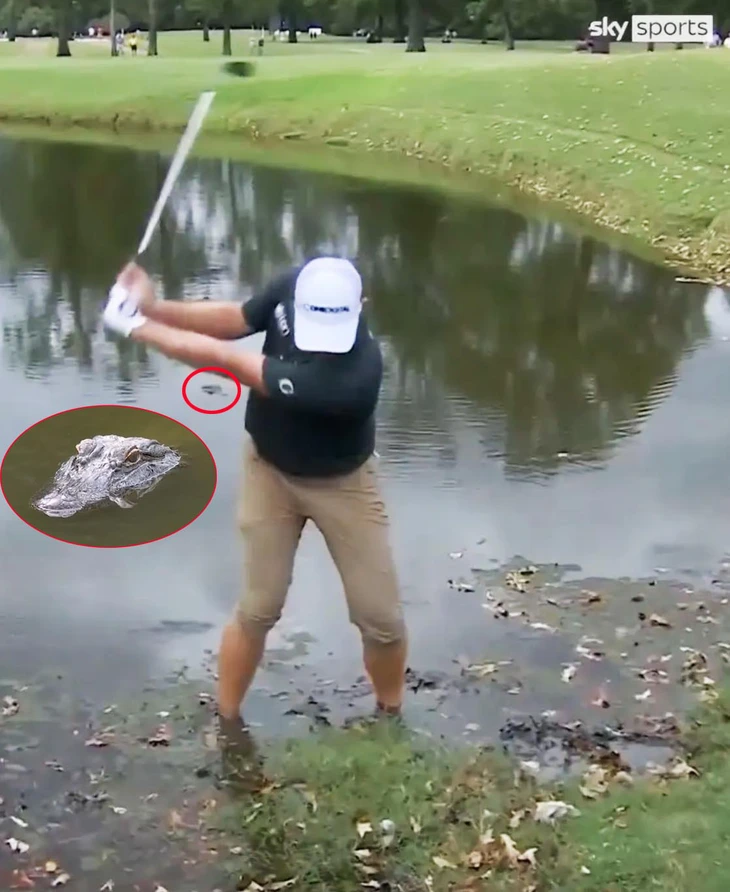 golfer - Ảnh 1.