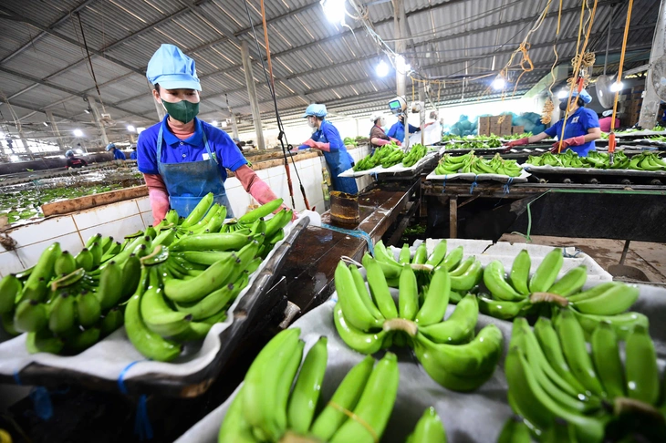 Vietnam Report - Ảnh 1.