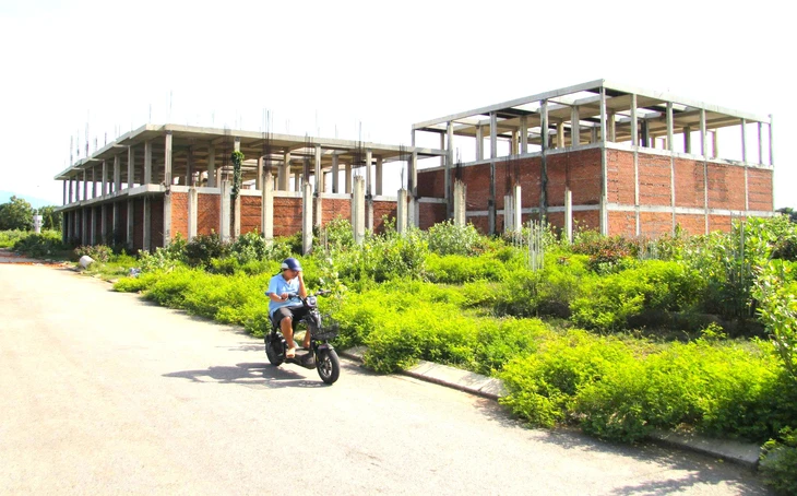 Dự án không phù hợp quy hoạch sử dụng đất, tỉnh Ninh Thuận (cũ) vẫn chỉ định cho doanh nghiệp làm - Ảnh 1.