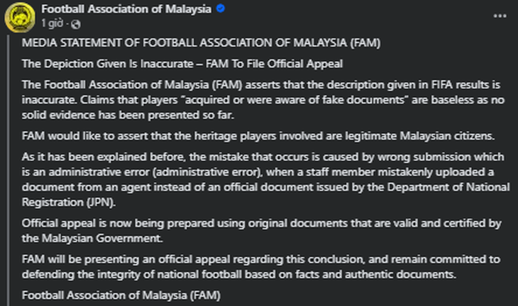 Liên đoàn Bóng đá Malaysia lên tiếng về báo cáo dài 19 trang của FIFA - Ảnh 3.