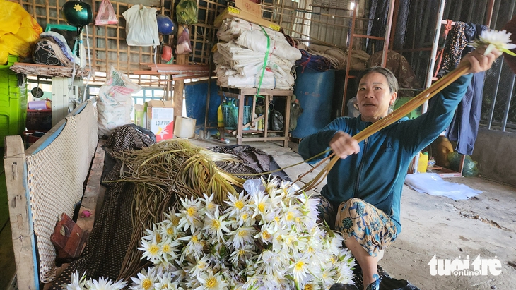 Ngư dân 'hốt bạc' nhờ nhổ bông súng 'ma' mùa nước nổi - Ảnh 2.