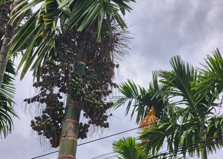 Trung Quốc - Ảnh 1.