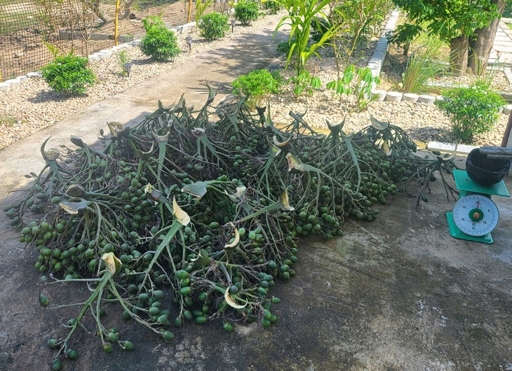 Trung Quốc - Ảnh 2.