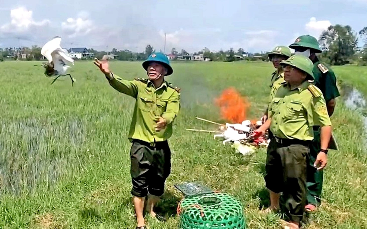 Thiên la địa võng lưới ma bẫy chim trời - Ảnh 2.