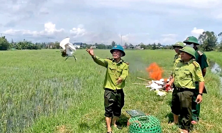 10 con cò trắng được giải cứu giữa 'thiên la địa võng' các loại bẫy chim trời - Ảnh 1.