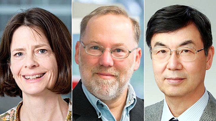Nobel Y sinh 2025: Mở ra kỷ nguyên mới của miễn dịch học - Ảnh 1. Nobel Y sinh 2025 - Ảnh 1.