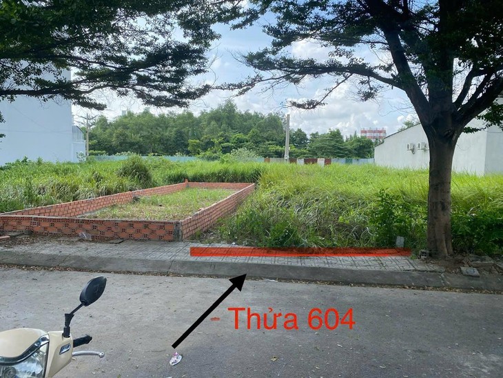 tài sản - Ảnh 2.