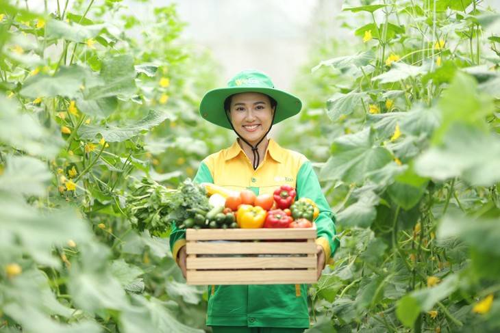 Rau sạch WinEco - Ảnh 1.