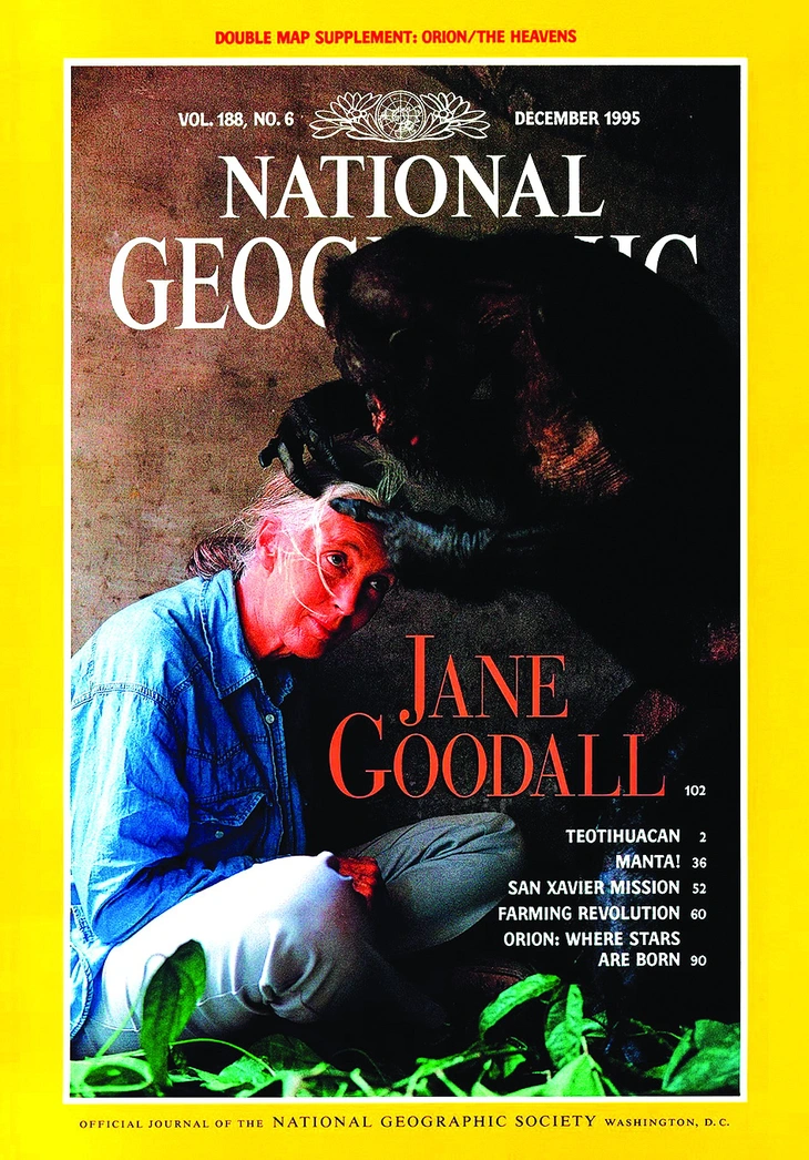 Vĩnh biệt Jane Goodall: chiến binh bảo vệ môi trường vĩ đại nhất - Ảnh 4.