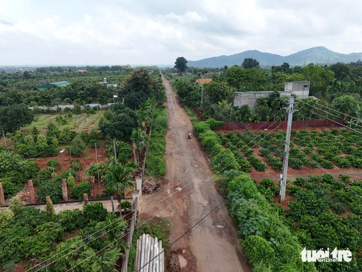 Lập khống hồ sơ, giả chữ ký, nghi gian lận chấm thầu dự án  ở Đắk Lắk- Ảnh 1.