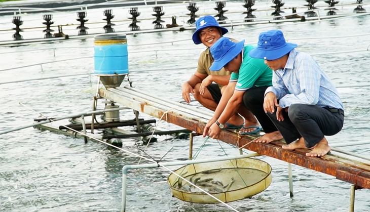 Mô hình nuôi tôm công nghiệp ‘một người nuôi, cả xóm vui’ được nhân rộng ở Cà Mau - Ảnh 4.