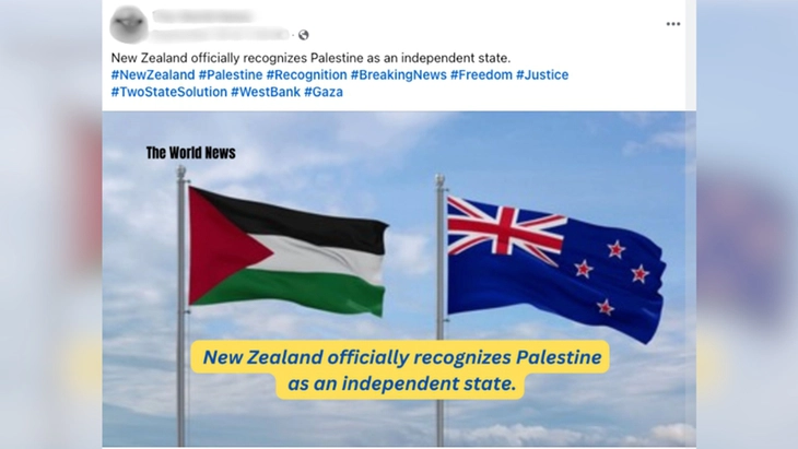 Palestine - Ảnh 2.