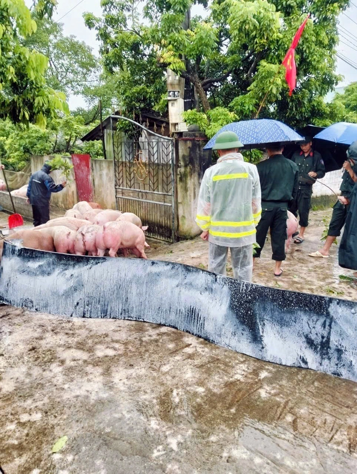 nước lũ - Ảnh 3.
