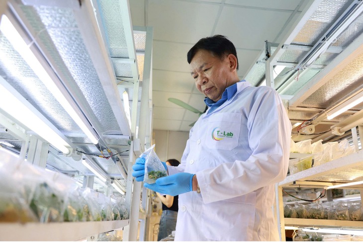 Anh nông dân 25 tuổi làm trà hoa vàng, bán giống cây lời 1,2 tỉ/năm - Ảnh 3.