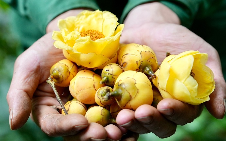 Một bộ phận nông dân bứt phá, doanh thu hàng năm trên 100 tỉ đồng - Ảnh 3.