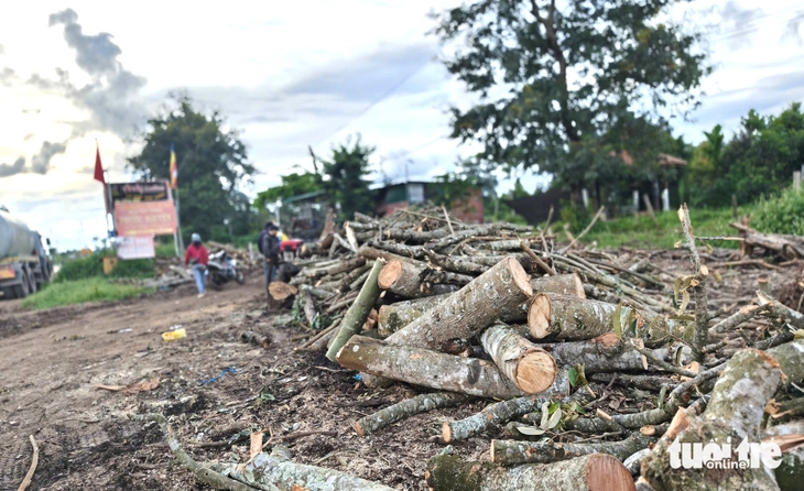 viên nén gỗ - Ảnh 1.