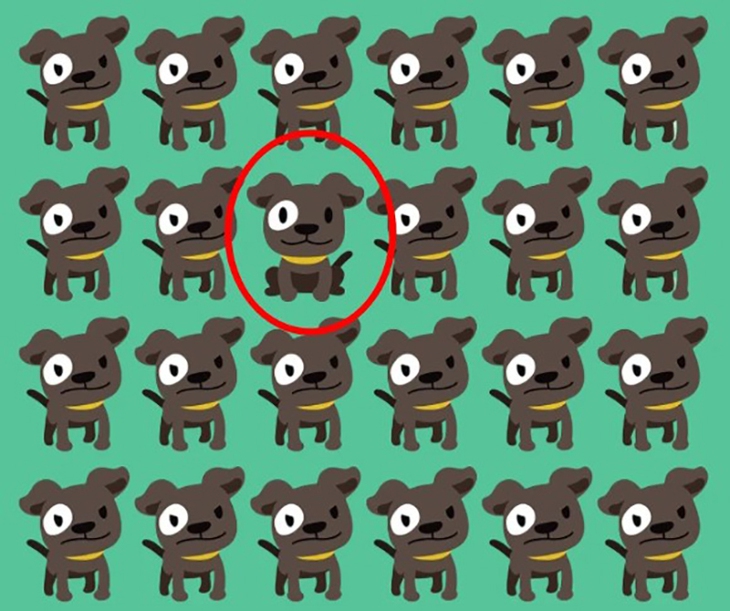 con mèo - Ảnh 5.