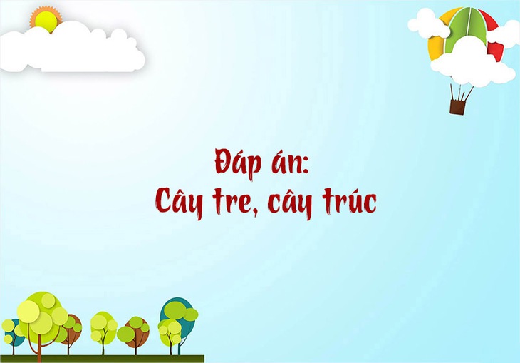 câu đố - Ảnh 6.
