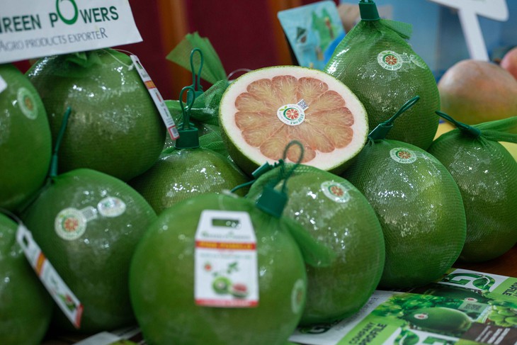 giảm cân - Ảnh 1.