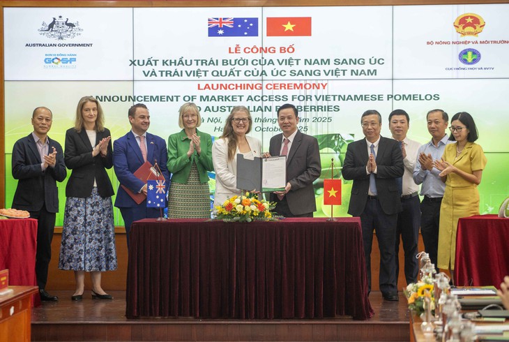 Bưởi Việt Nam chính thức sang Úc, việt quất Úc sang Việt Nam - Ảnh 3.