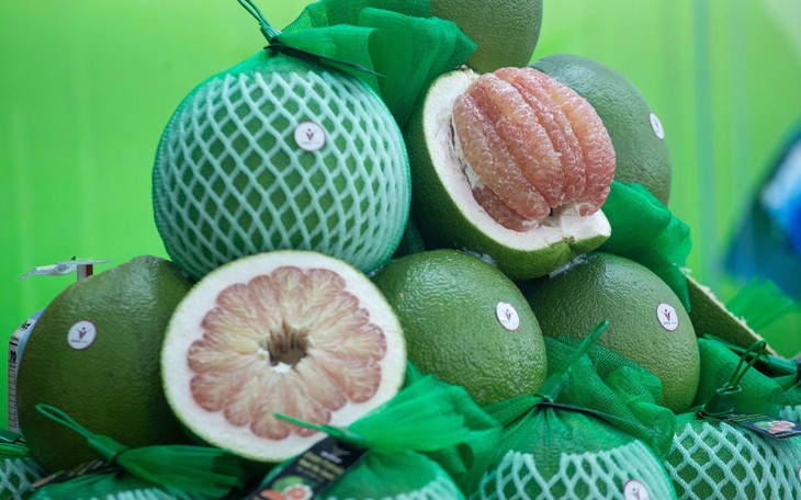 Trái bưởi, loại trái ngon  - Ảnh 2.