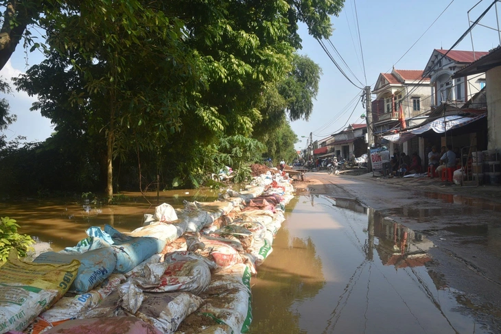 Thủ tướng - Ảnh 5.