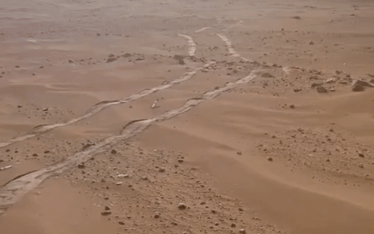 Thực hư tin đồn ngoại tình giữa Erika Kirk và Phó tổng thống Mỹ JD Vance? - Ảnh 4.