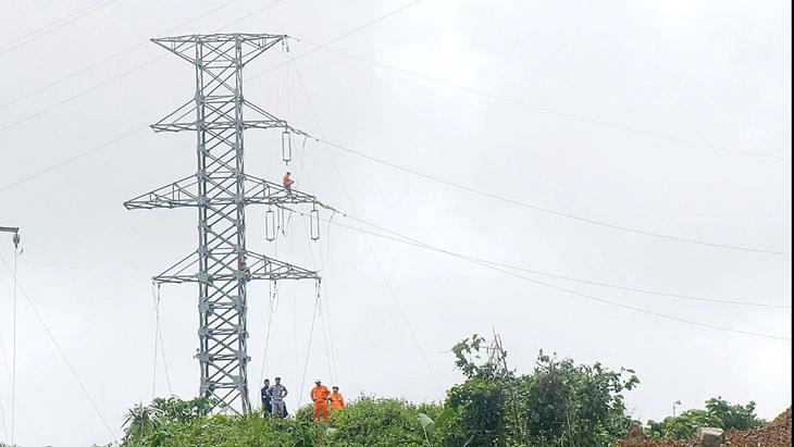 cấp điện - Ảnh 1.