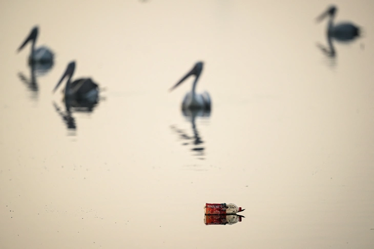 Tin tức thế giới 2-11: Ukraine triển khai lực lượng đặc nhiệm ở Pokrovsk - Ảnh 5. Tin tức thế giới 2-11: Ukraine triển khai lực lượng đặc nhiệm ở Pokrovsk - Ảnh 4.