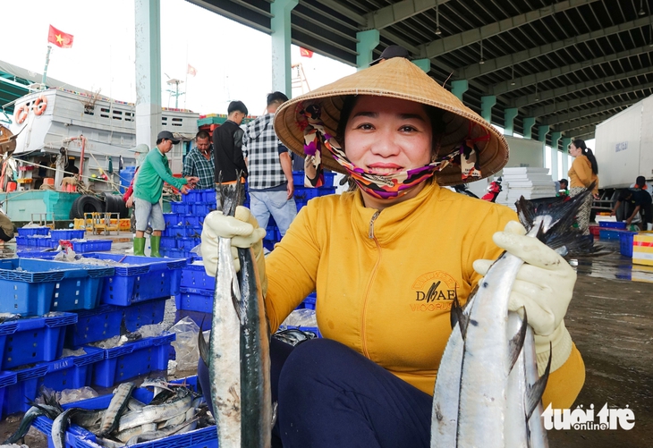 cảng cá - Ảnh 7.