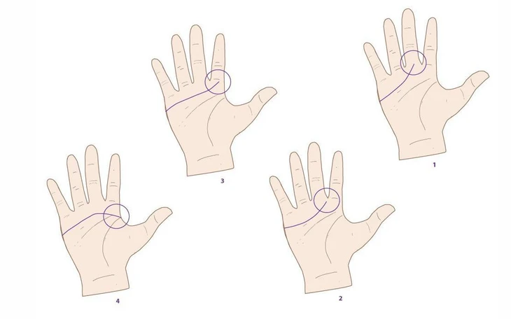 Quiz: Màu áo trong tủ tiết lộ 'tần số tính cách' thật của bạn - Ảnh 4.