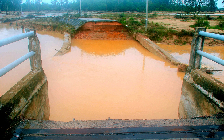 Cá chết do lũ, người dân Đà Nẵng mất hàng trăm triệu  - Ảnh 8.