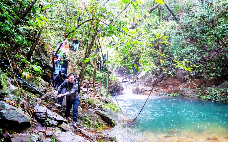 May mà Bạch Mã còn rừng! - Ảnh 1. May mà Bạch Mã còn rừng! - Ảnh 1.