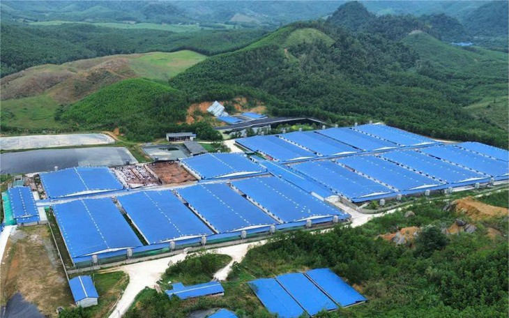 Khởi tố 3 bị can về tội gây ô nhiễm môi trường, liên quan đến trang trại heo xả thải - Ảnh 5.