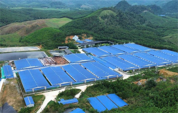 Sẽ dừng hoạt động trang trại nuôi heo gây ô nhiễm ở Thanh Hóa - Ảnh 1.