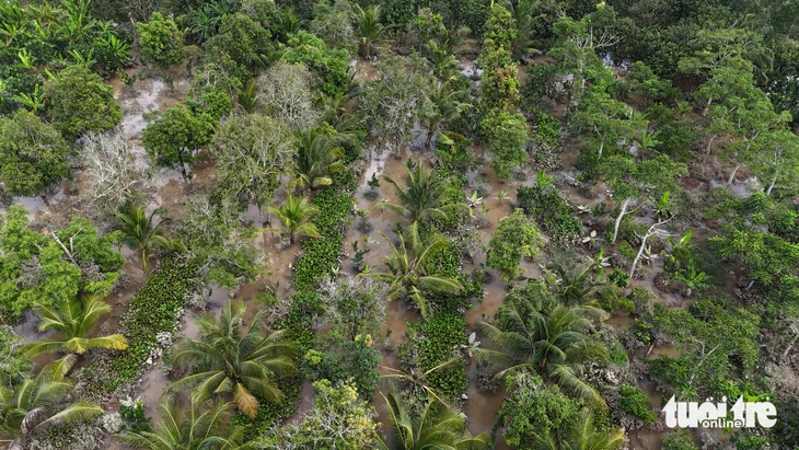 sạt lở - Ảnh 2.