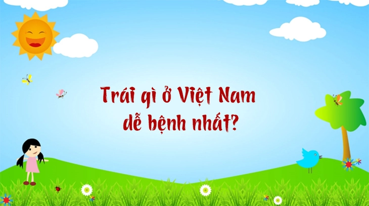 câu đố - Ảnh 3.