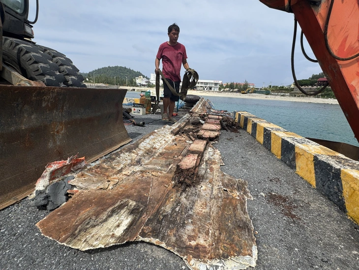 cứu hộ - Ảnh 2.