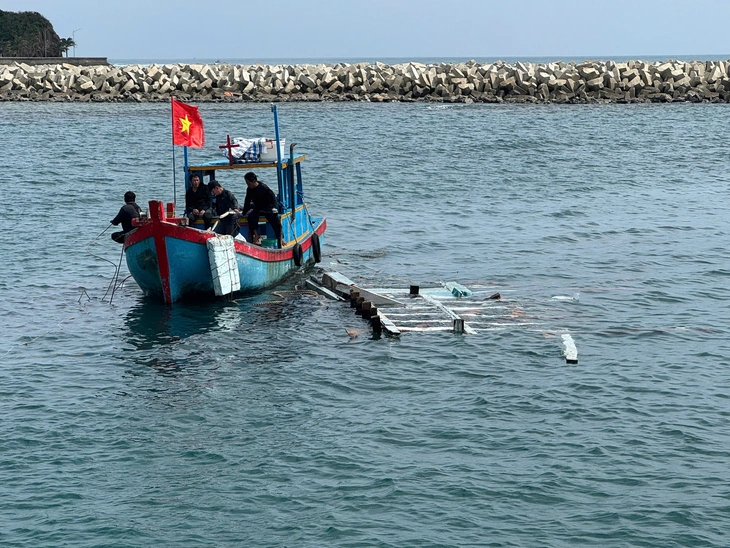 cứu hộ - Ảnh 6.