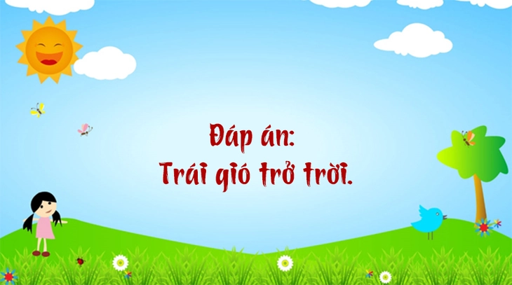 câu đố - Ảnh 4.