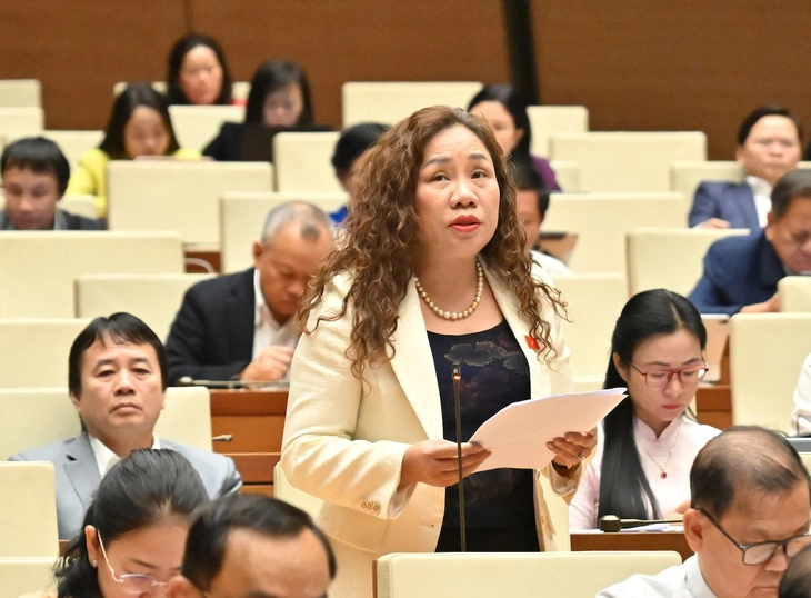 Quốc hội - Ảnh 1.