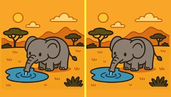 khuôn mặt - Ảnh 5.