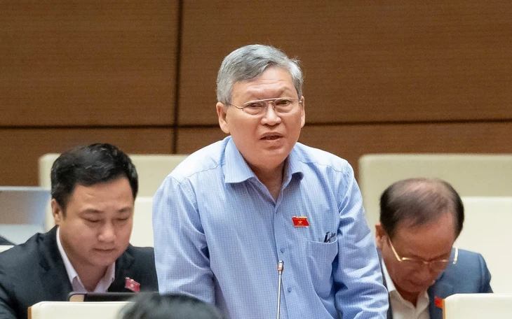 Đại biểu Quốc hội hiến kế để phát triển 'nền kinh tế tóc bạc' ở Việt Nam - Ảnh 3.