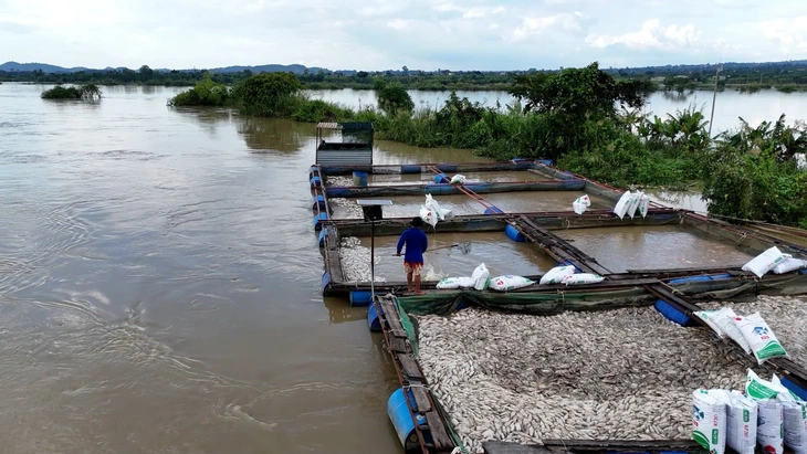 bão kalmaegi - Ảnh 1.
