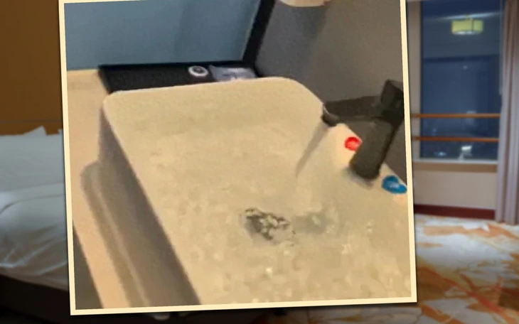 Đoàn Di Băng từng ví biệt thự 400 tỉ với túi Louis Vuitton - Ảnh 5.