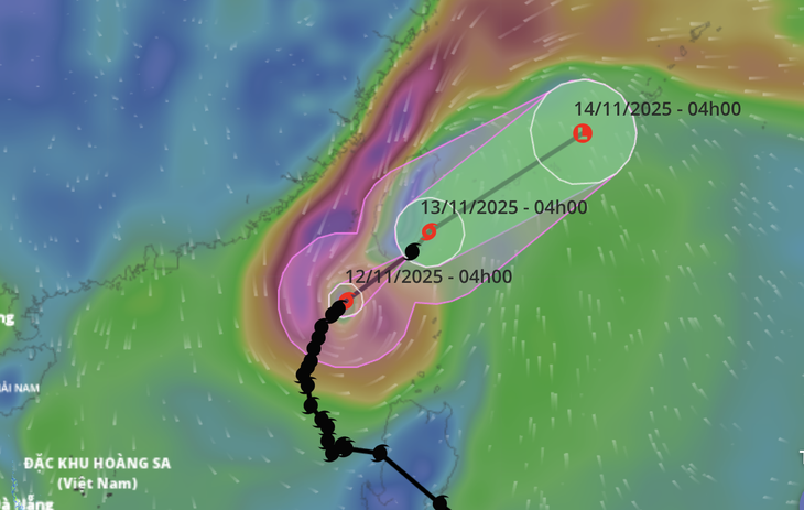 bão phượng hoàng - Ảnh 1.