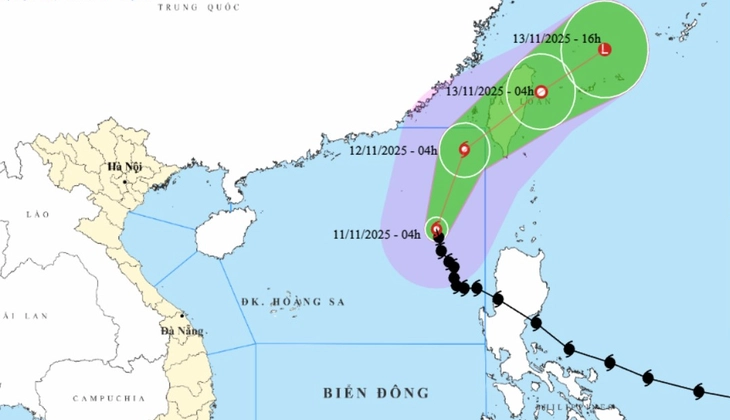 bão phượng hoàng - Ảnh 1.
